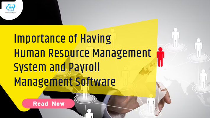 Importance of Having Human Resource Management System and Payroll Management Software